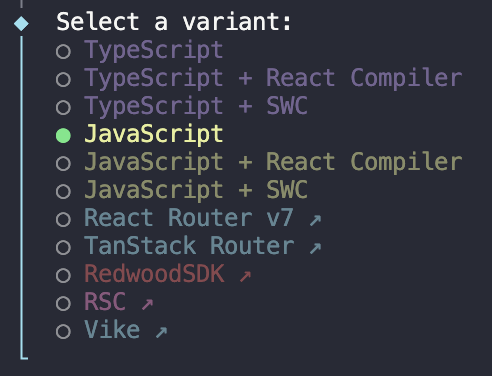 Selecting JavaScript in the Vite setup prompt
